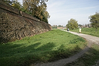 Img 086